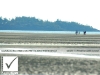 photosure_canada_bc_vancouver_island_parksville_361-1h