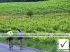 13_photosure_lifestyle_cycling_vinyards_cowichan_canada_001h