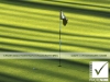 16_photosure_sport_golf_green_put_flag_patterns_001h