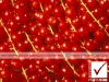 4_photosure_fruit_berry_goose_berries_color_pattern_001h